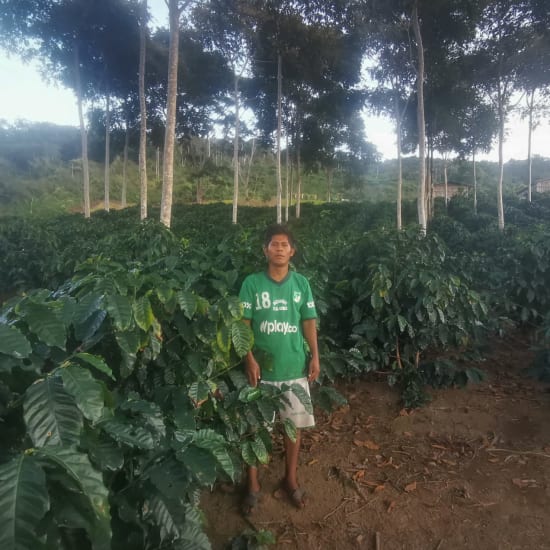 Finca La Asunta, Bolivia, Filter