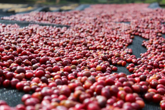 Kibingo, Burundi, Espresso