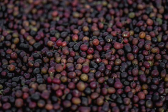 Chelchele, Ethiopia, Espresso