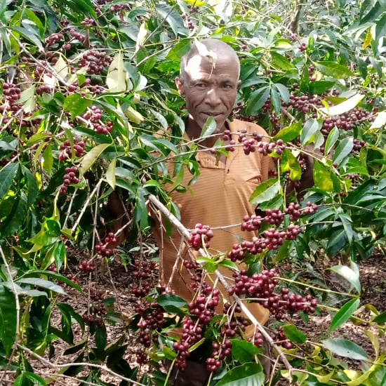 Mr Mengeche Durso, Ethiopia, Filter