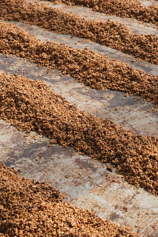 Las Lajas, Costa Rica, Espresso