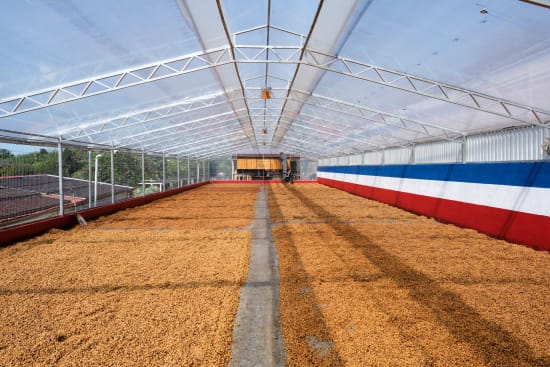 Las Lajas, Costa Rica, Espresso