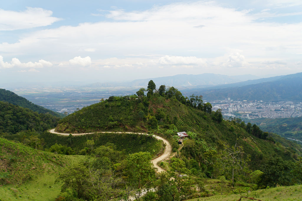 Ibagué, Colombia, Filter