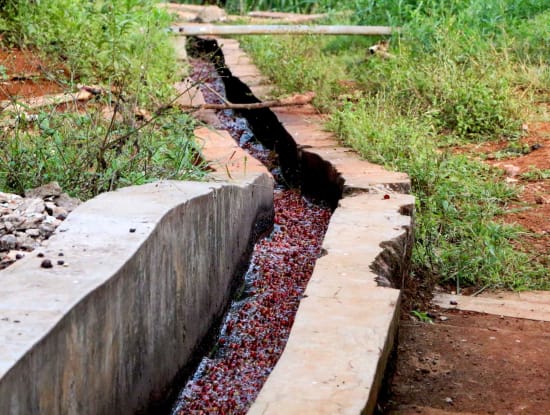 Kiangoi, Kenya, Espresso