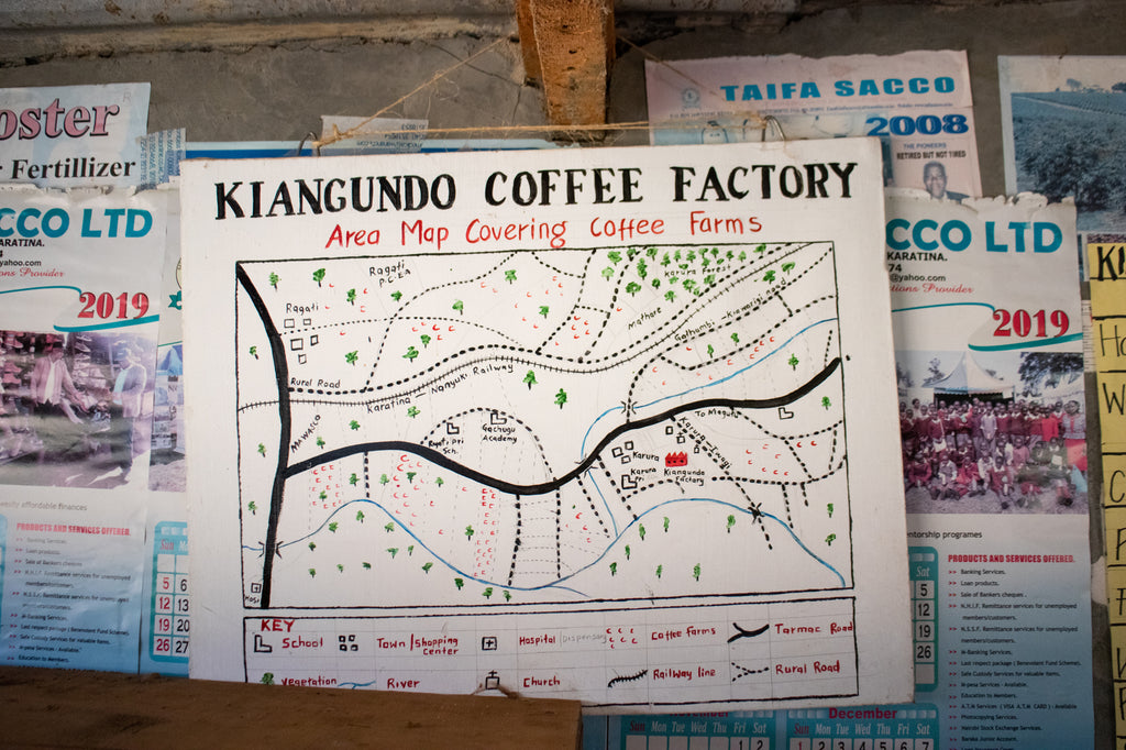 Kiangundo AB, Kenya, Espresso