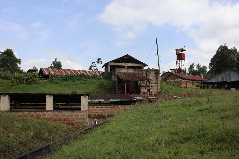 Kiangundo AB, Kenya, Espresso
