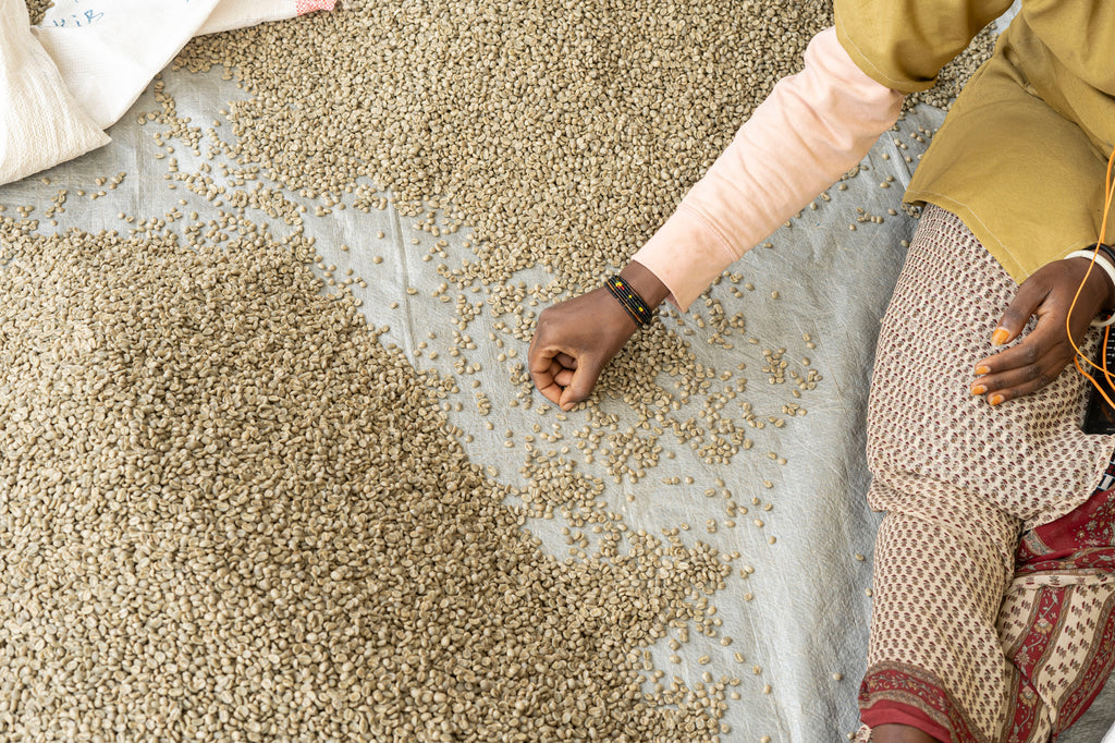 Sovu Women's Coffee, Rwanda, Filter