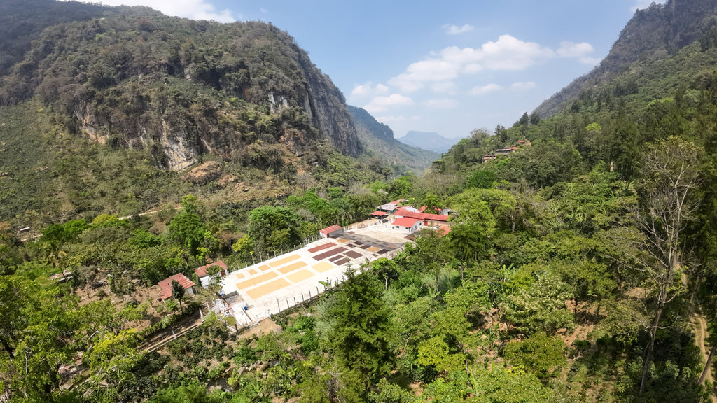 El Sol, Guatemala, Filter