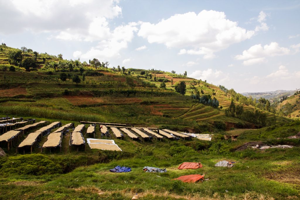Nyamagabe, Rwanda, Espresso