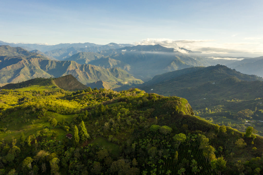 Small Producers of San Antonio, Colombia, Espresso