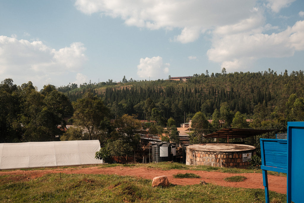 Sovu Women's Coffee, Rwanda, Filter