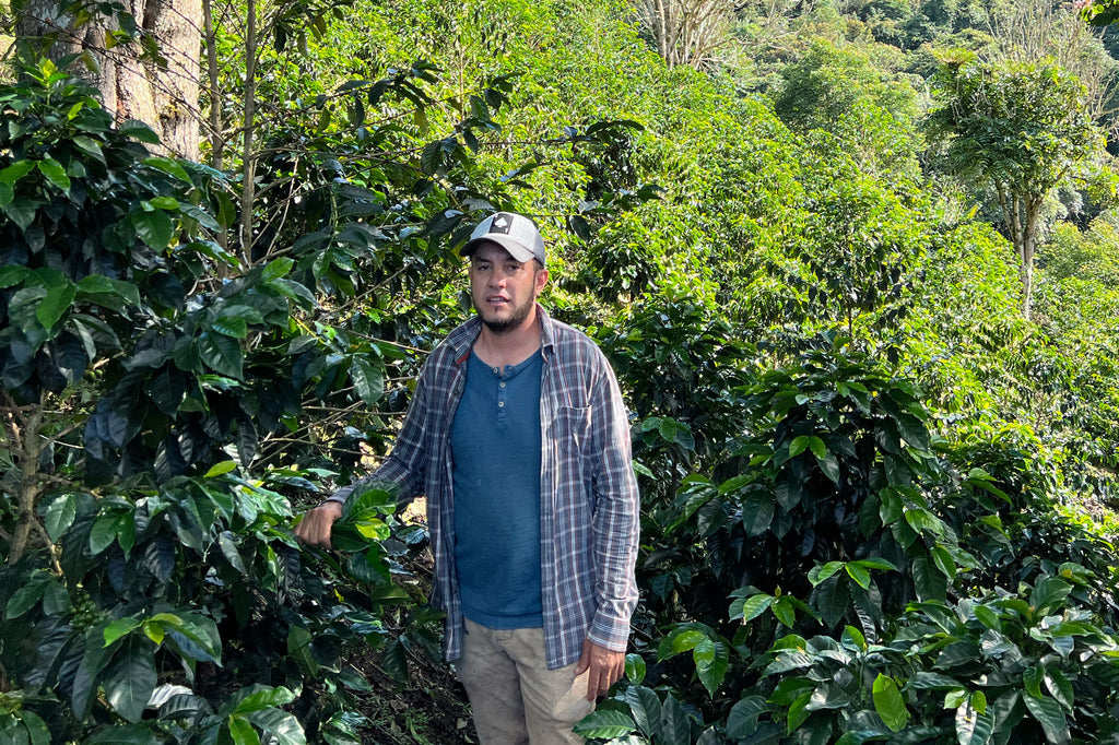 La Loma, Colombia, Filter