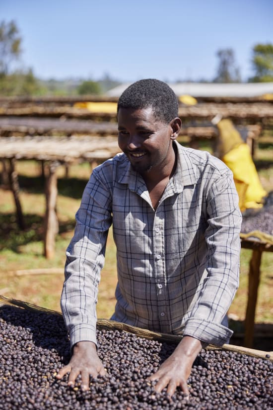 Arsosala, Ethiopia, Espresso