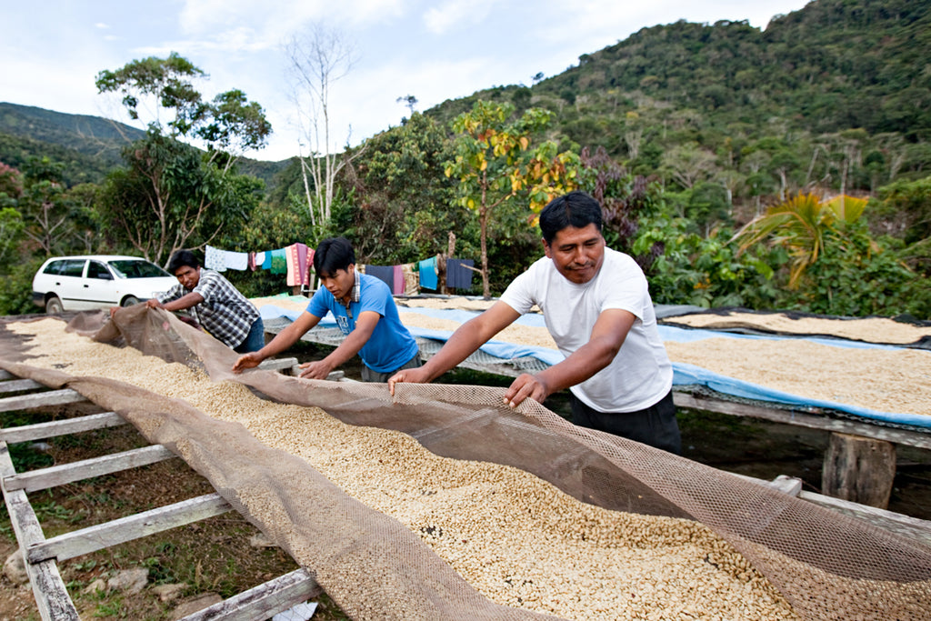 Mamani Family, Bolivia, Filter